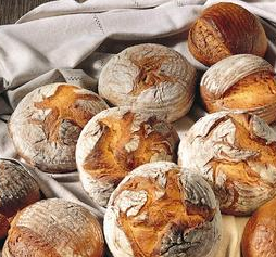 sauer zakwas jasny i ciemny motyl uldo