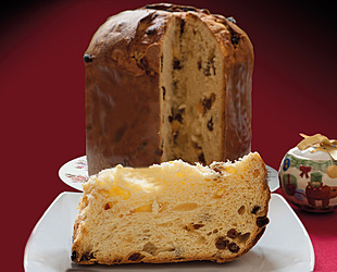 panettone motyl uldo