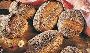 brunat zaciemniacz motyl uldo