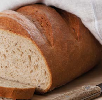 olympial brot motyl csm