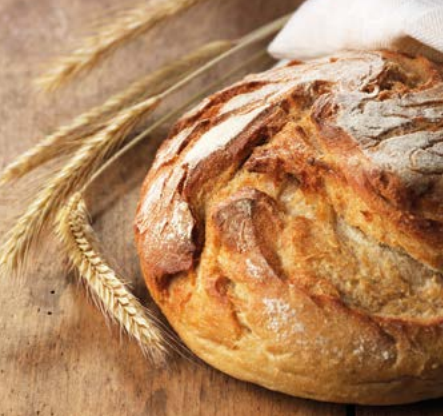 fresco max żytni motyl csm