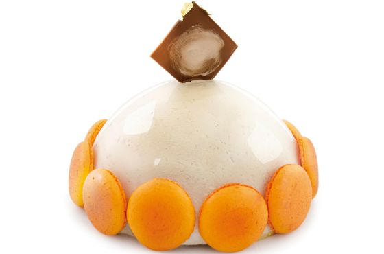 żel na zimno diament all'round motyl bakels