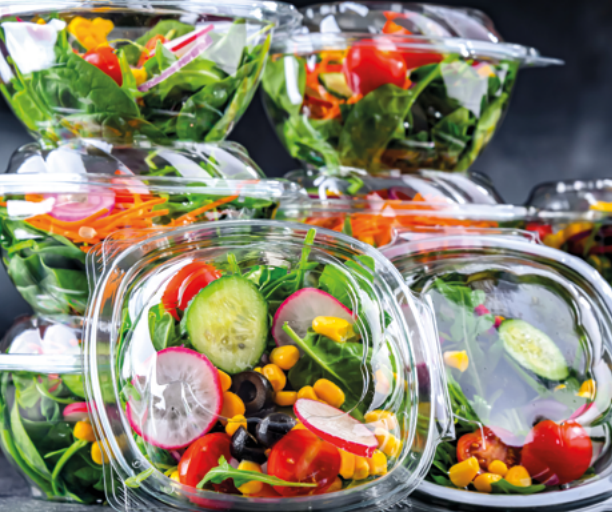 pojemniki sałatkowe i deserowe transparentne motyl la passione