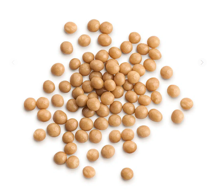 jaspis słony karmel motyl barbara luijckx