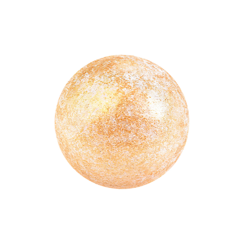 złota perła motyl barbara luijckx