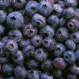 jagoda pasta motyl kames