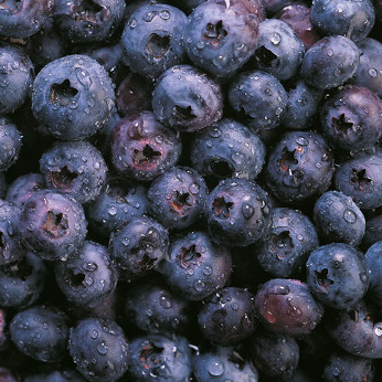 jagoda pasta motyl kames