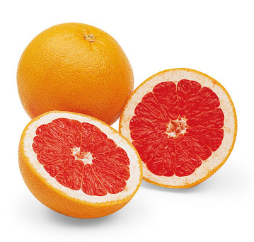 koncentrat grapefruit motyl kames