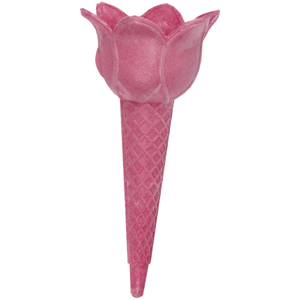 polski tulipan różowy motyl waflex