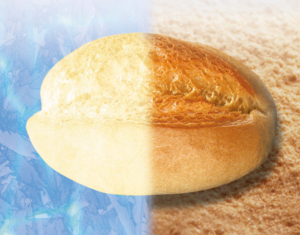 eisstar motyl uniferm